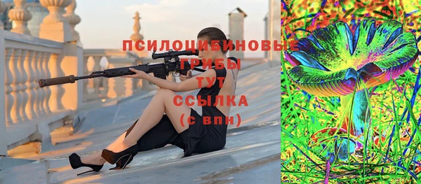 бошки Баксан