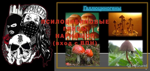 бошки Баксан